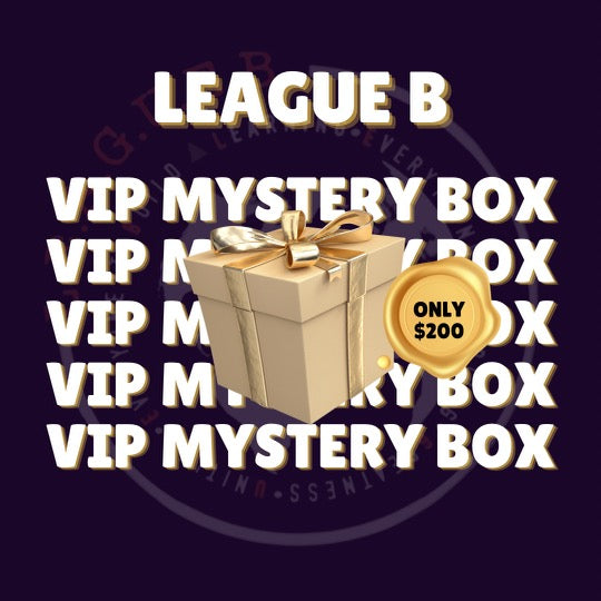 V.I.P Mystery Box Silver Package