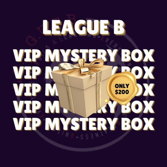 V.I.P Mystery Box Silver Package