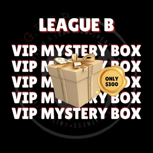 V.I.P Mystery Box Gold Package