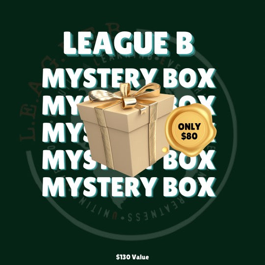 Youth Mystery Box 2