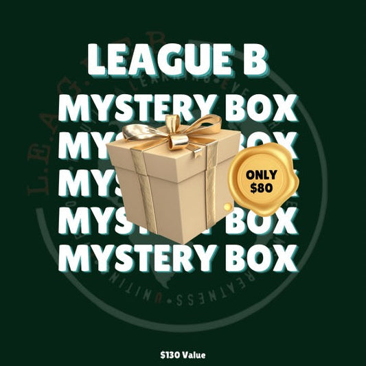 Youth Mystery Box 2